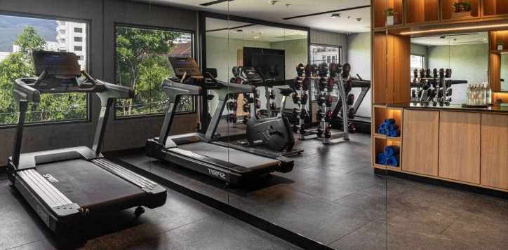 ibis_gym-2-2