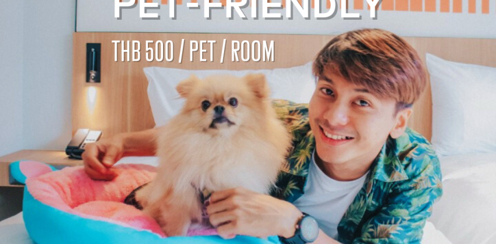 pet-friendly-2